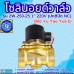 โซลินอยด์วาล์ว 220V (1นิ้ว) รุ่น 2W-250-25 (1") ยี่ห้อ Yu Yao Yue Er